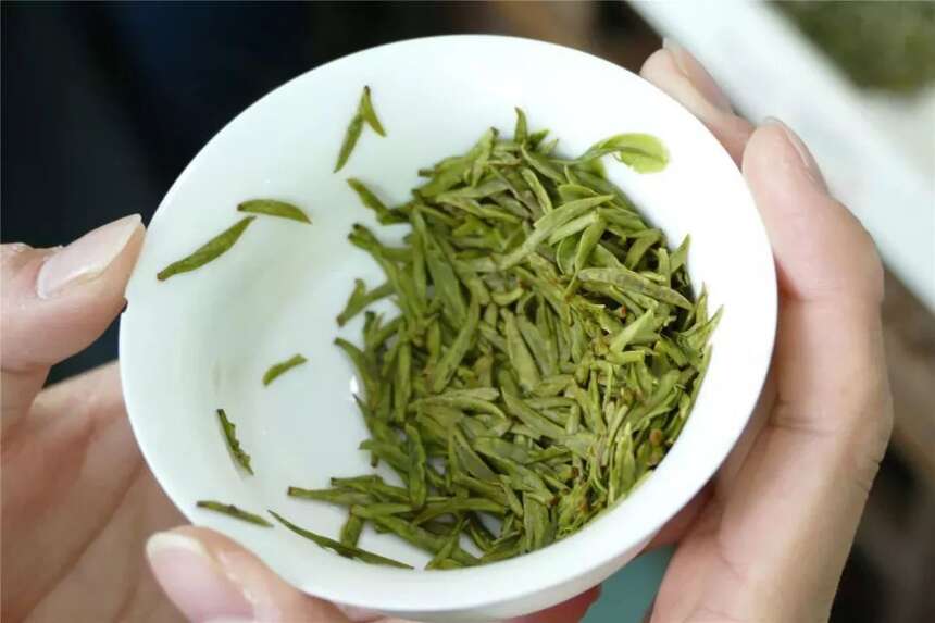 平阳黄汤|黄茶骄者，贡品茗茶，5月9-12日与您相约上海世博展览馆