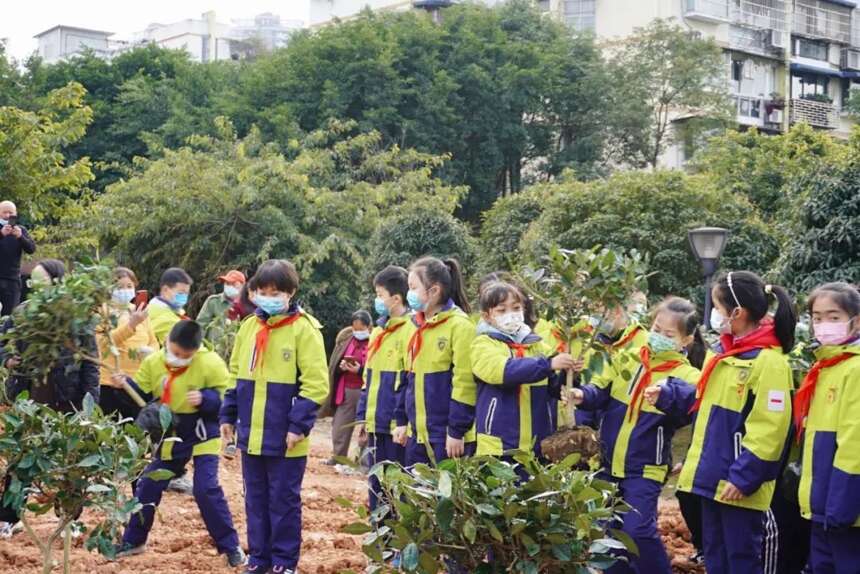 茶文化公园蒙顶山茶园植茶仪式今日成功举行