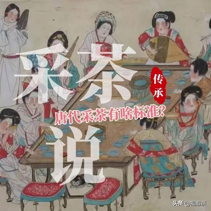 每日懂点普洱茶｜古人采茶有什么标准？唐代篇