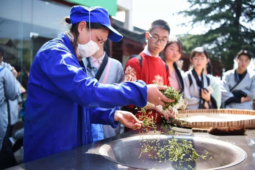 穿着汉服登蒙顶，茶文化圣山研学行