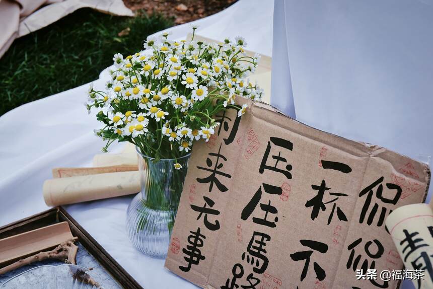 二十四节气 · 立夏茶会 | 在森林里造一场夏日盛会