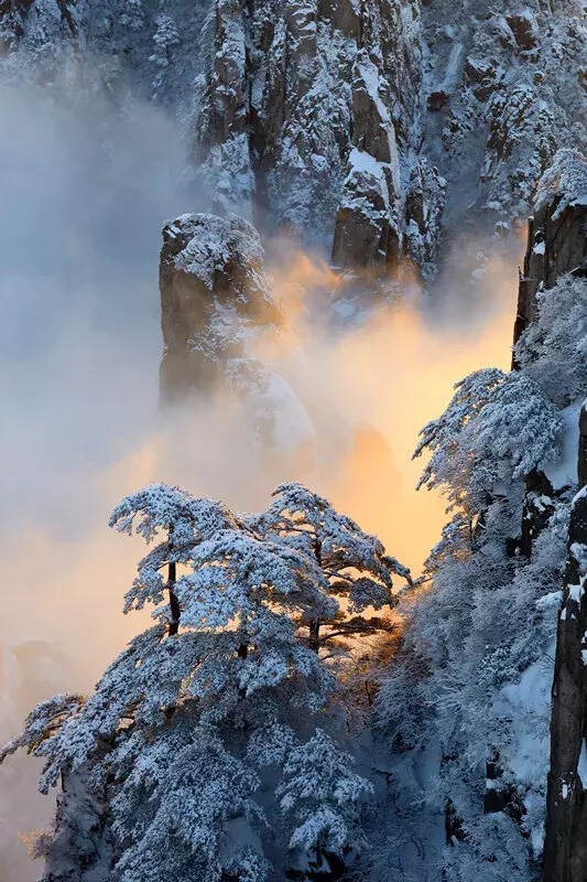 雪后的黄山，犹如仙境，美轮美奂！