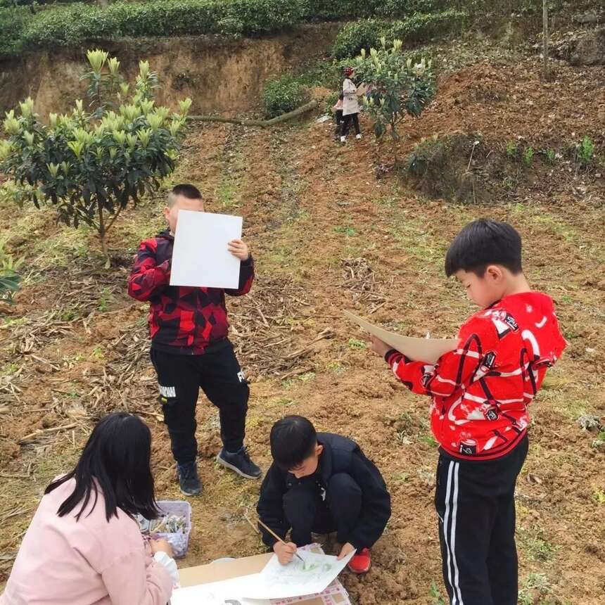 茶旅研学 | 茗润春茶业带您走进大自然