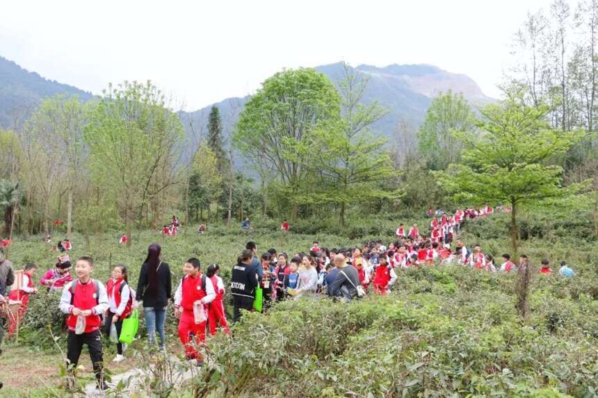 茶旅研学 | 茗润春茶业带您走进大自然