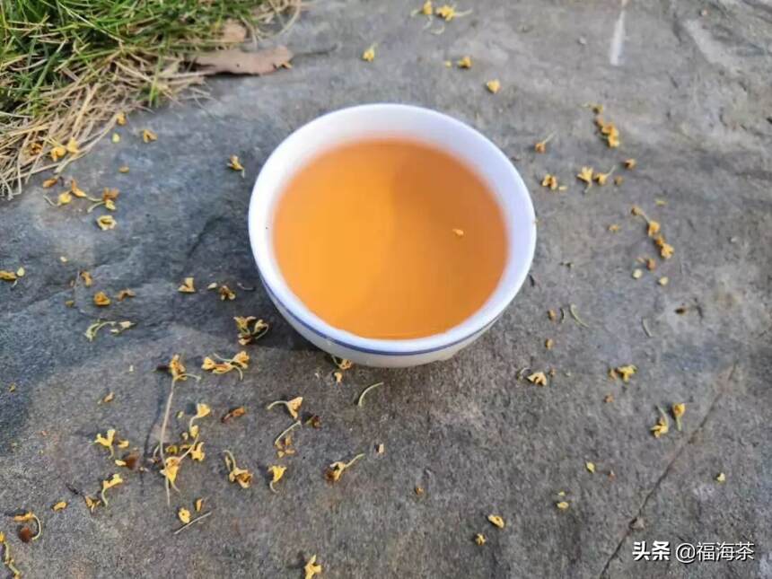 福享家日志 | 011.时光流转 经典永恒