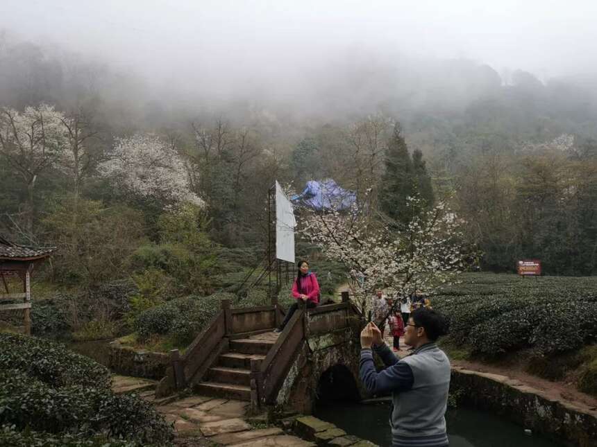 来自全国各地茶友朝拜世界茶文化圣山蒙顶山