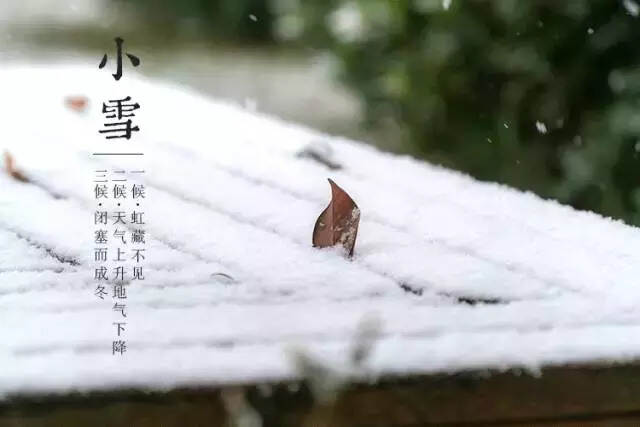 小雪一到，“养藏”阳气！