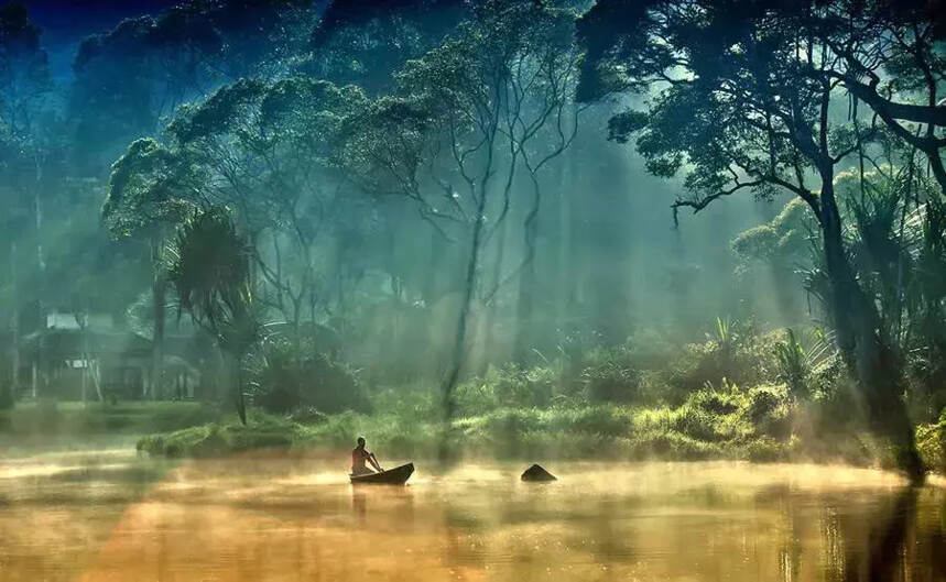 风雨人生路，走过才领悟