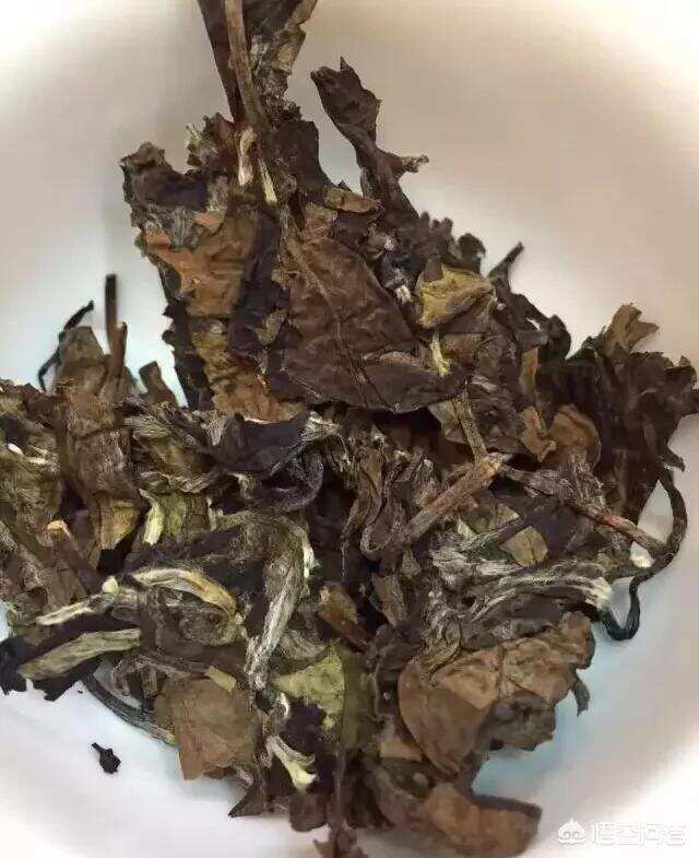 每一天都可以喝的茶你知道吗？