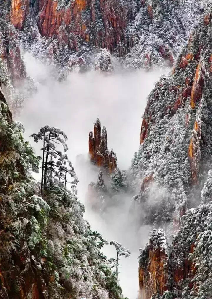 雪后的黄山，犹如仙境，美轮美奂！