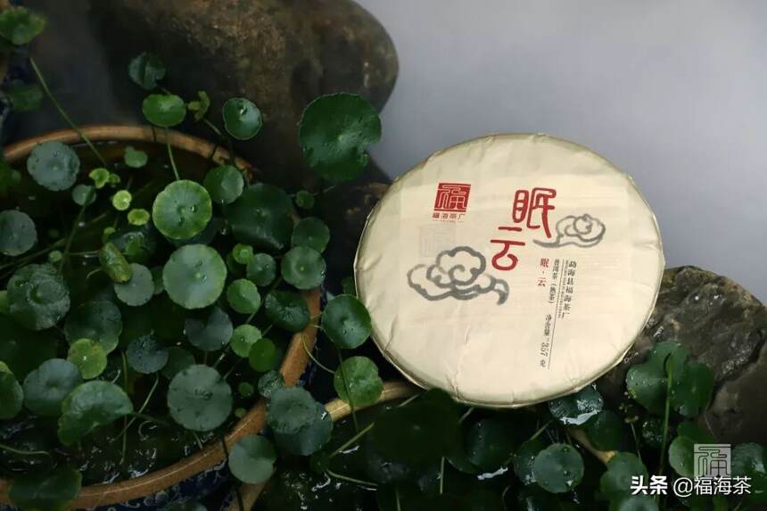 福海讲堂 | 一款高性价比熟茶到底需要具备哪些品质