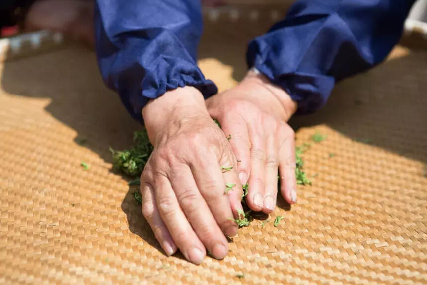 重磅！莫干黄芽行业标准发布！