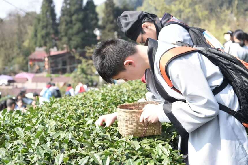 穿着汉服登蒙顶，茶文化圣山研学行