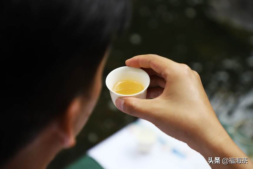 茶会预告 | 芒种日，了解一杯有机茶的诞生