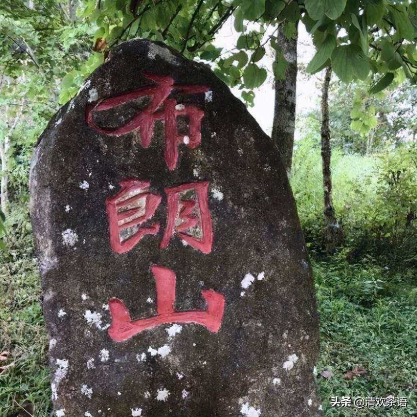 「春访茗山 寻味江湖」茗山兵器谱之“天机棒”—“霸主”布朗山