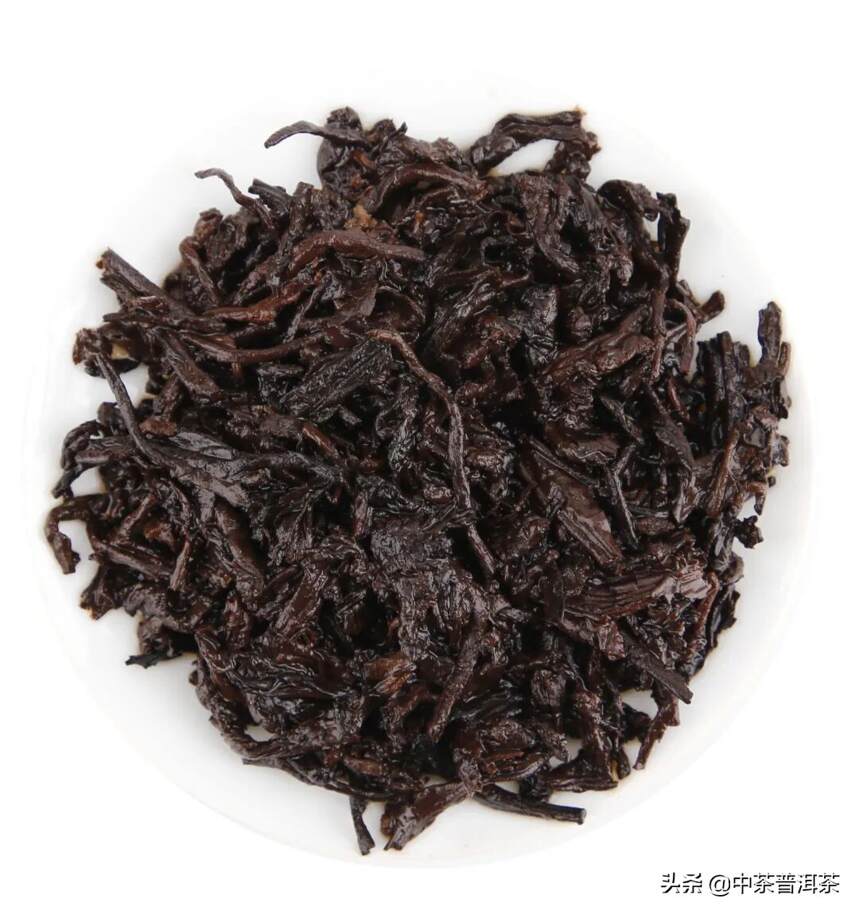 中茶新品 | 老班章熟茶：茗山原叶，化刚为柔，风骨依然