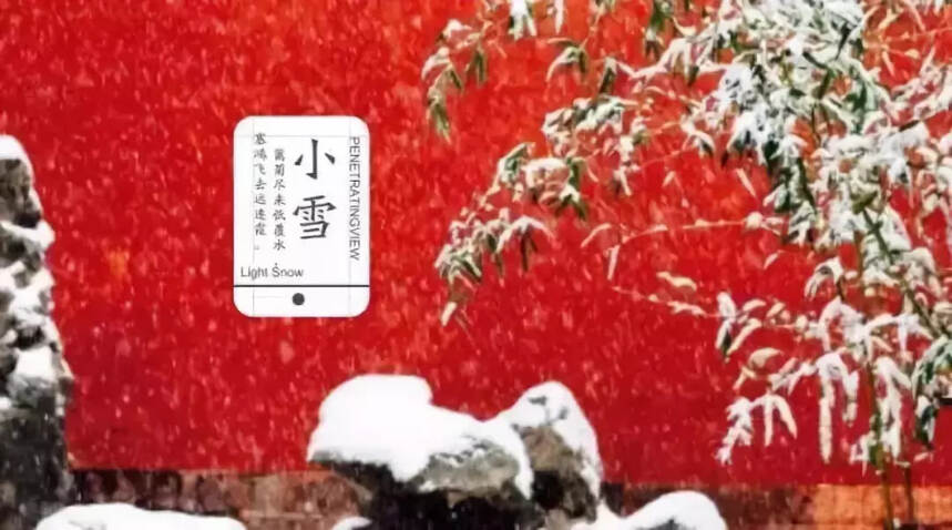 小雪一到，“养藏”阳气！