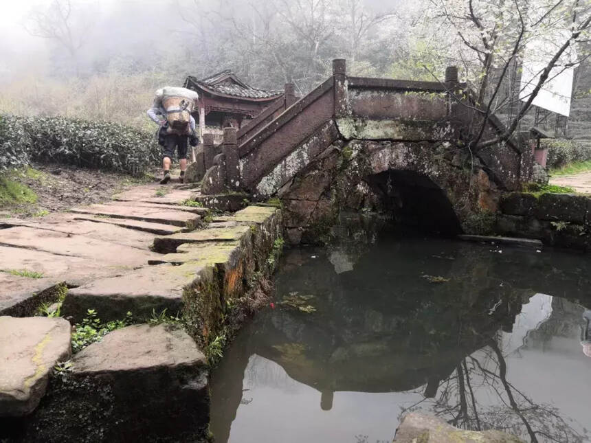 四川蒙顶山茶旅游学，您心中醉美雅安