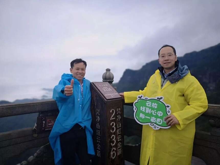 梵天净土 秘境寻茶| 云放梵净山茶园开园仪式圆满落幕