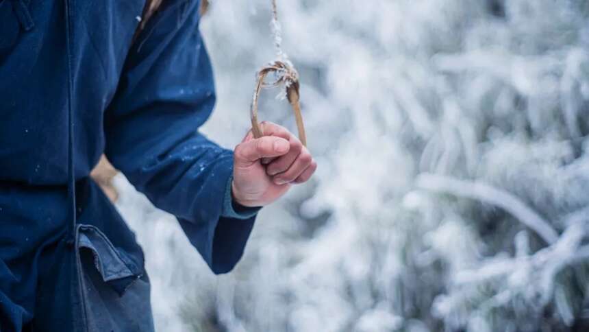 古道茶马 |  赴一场千年之约