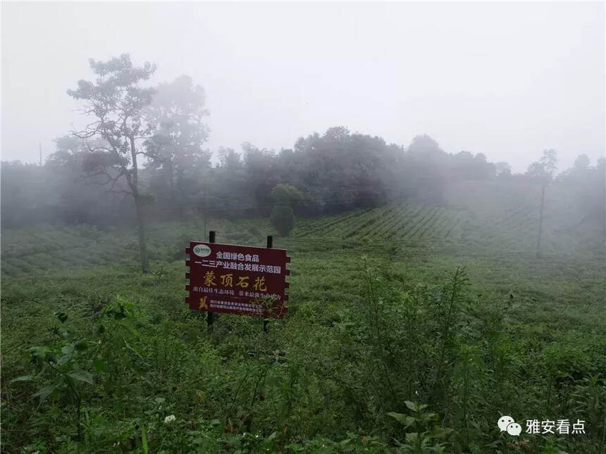 用一杯香茶，和全世界交朋友