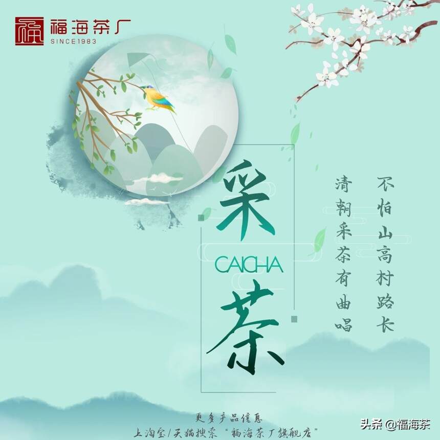 每日懂点普洱茶｜不怕山高村路长，清朝采茶有曲唱