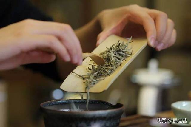 一杯茶在手，人缘、茶缘、善缘、法缘、佛缘尽在其中