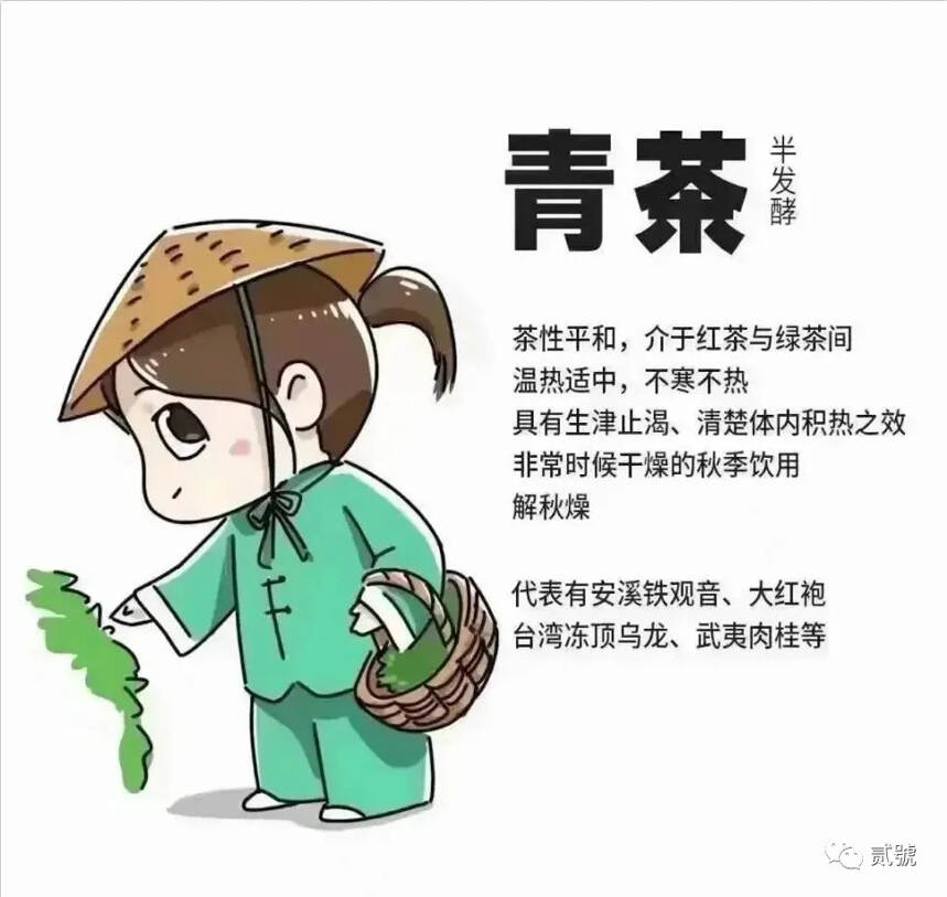 绿茶｜白茶｜黄茶｜青茶｜红茶｜黑茶