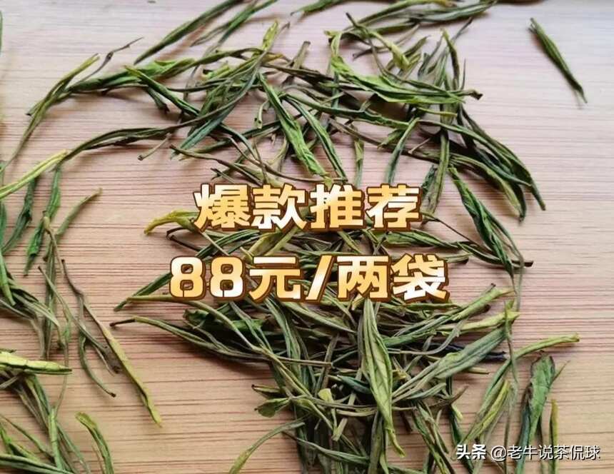 100+的口粮绿茶，高温天里的解暑凉器