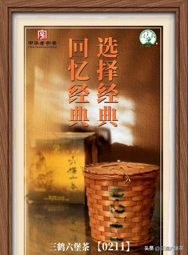 三鹤六堡茶半部老茶史