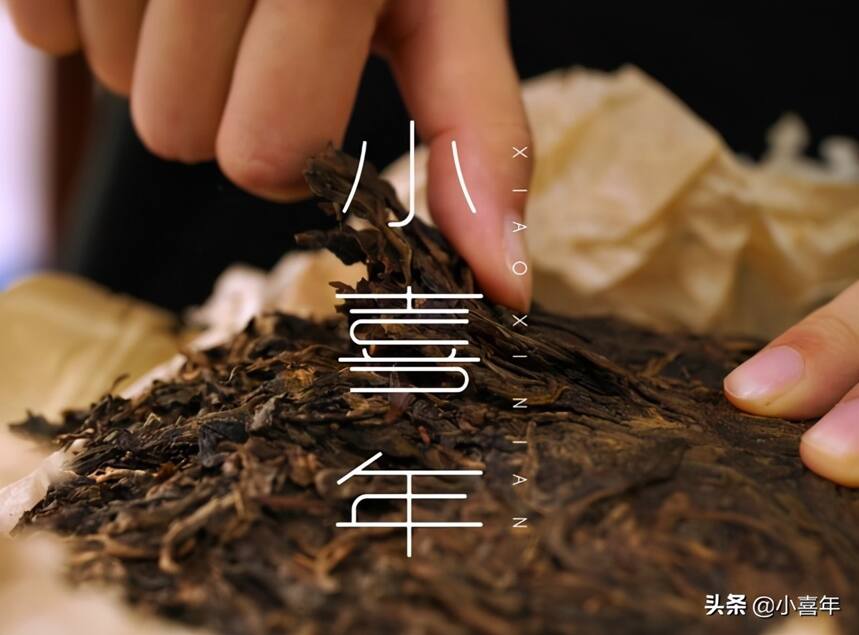 普洱茶的贵族“宫廷普洱茶”是“狸猫”还是“太子”?