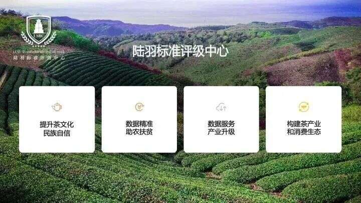 陆羽茶交所优秀征文选登丨聚焦产业数字化，陆羽国际在行动