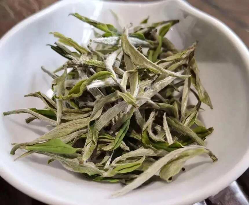 茶为万病之药，一天三杯福鼎白茶应该这样喝