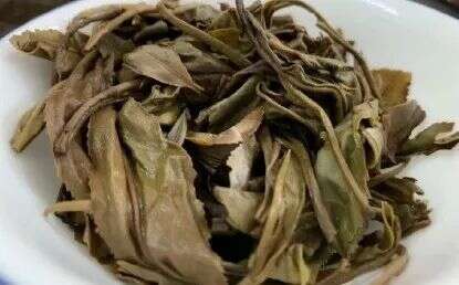 史上最全普洱茶知识，值得收藏