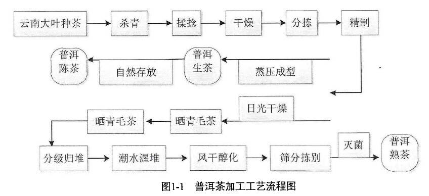 为何生普老茶比较甜？为何出现“尾水甜”？或许它能告诉你答案