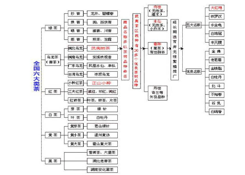 你泡的茶为什么不好喝？答案在这里