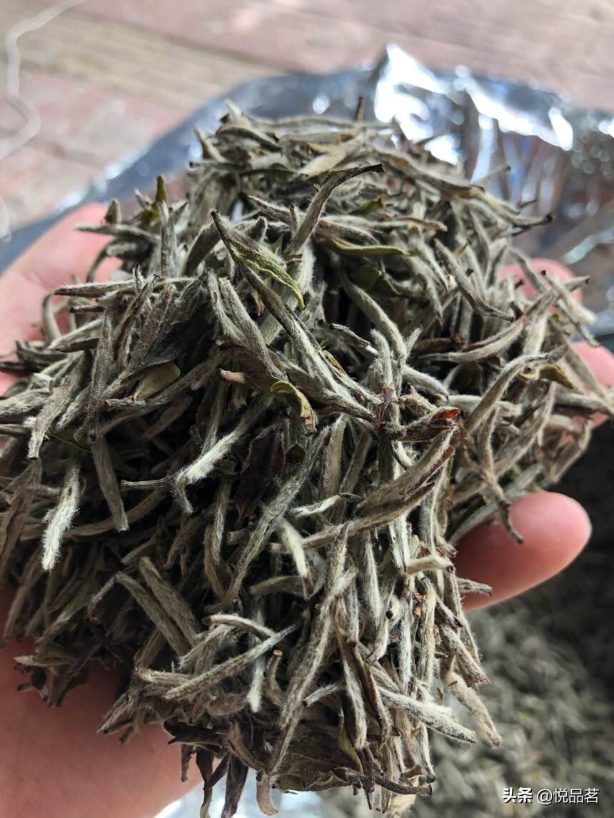 白毫银针老茶贵吗？2016年的白毫银针老茶，入口生香，回味无穷