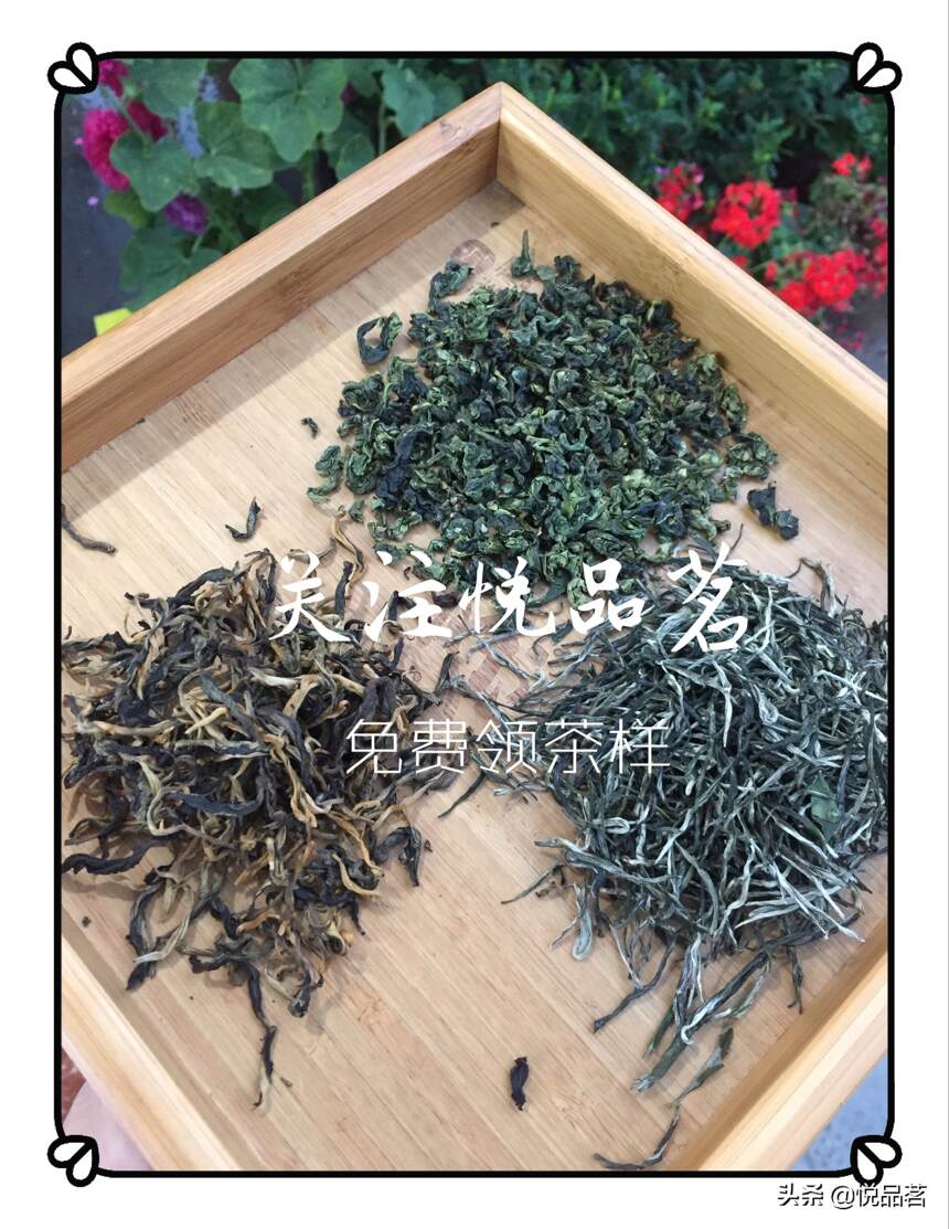 英红九号哪个品牌好喝？英红九号红茶什么牌子正宗？