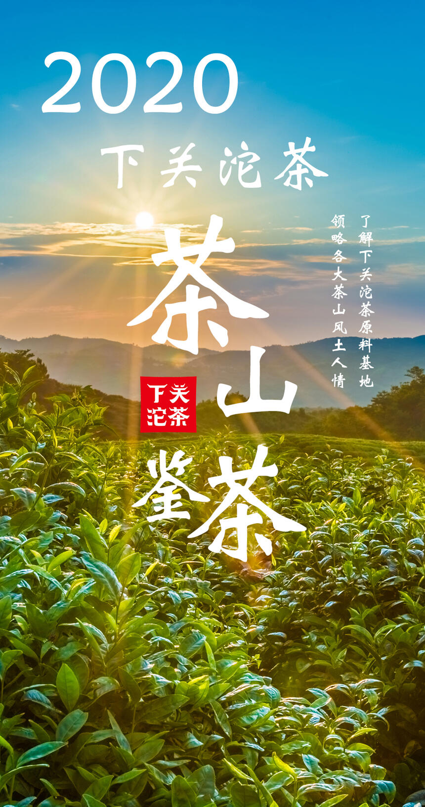 2020下关沱茶 • 茶山鉴茶