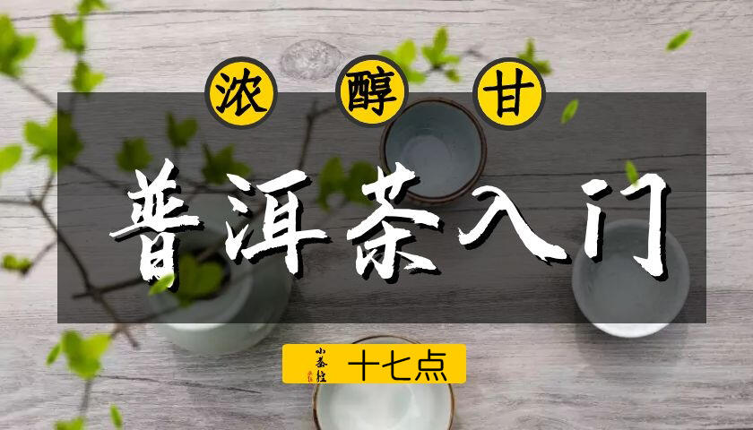 普洱新嘴看过来 17个点带你初步认识普洱茶