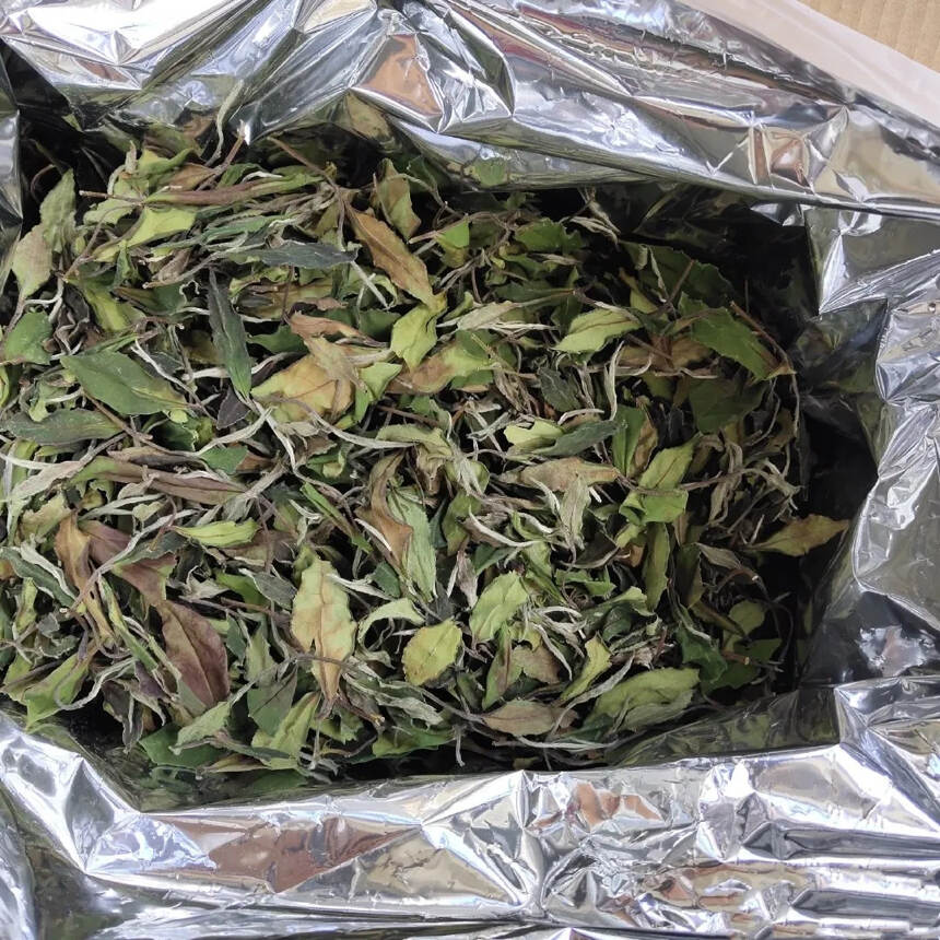 初夏雨滂沱，如何检查储存的白茶有没有受潮？