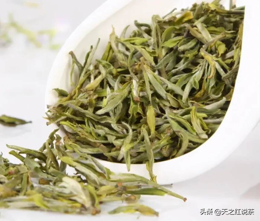 怎么泡出一杯鲜爽的绿茶？