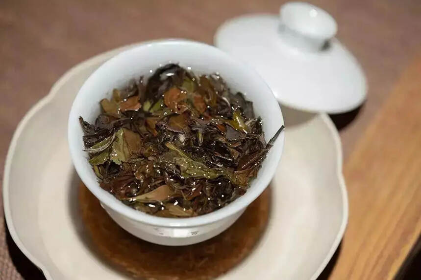 福鼎白茶｜饼茶、散茶？春茶、秋茶？白茶寿眉如何选？