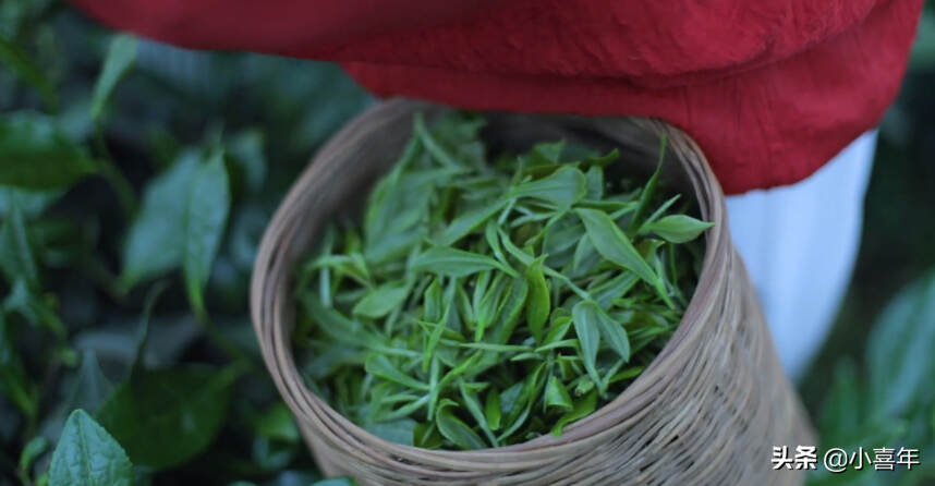 盘点李子柒的那些手作茶食，在家也可自制夏日解暑美食