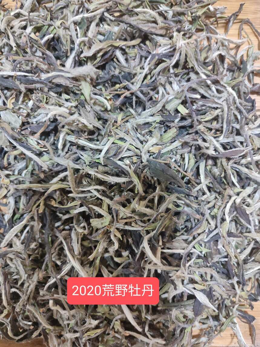 福鼎白茶的神仙泡法