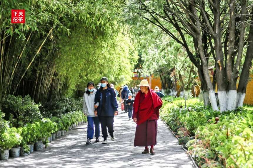 「藏地游茶」关茶带您走西藏（二）