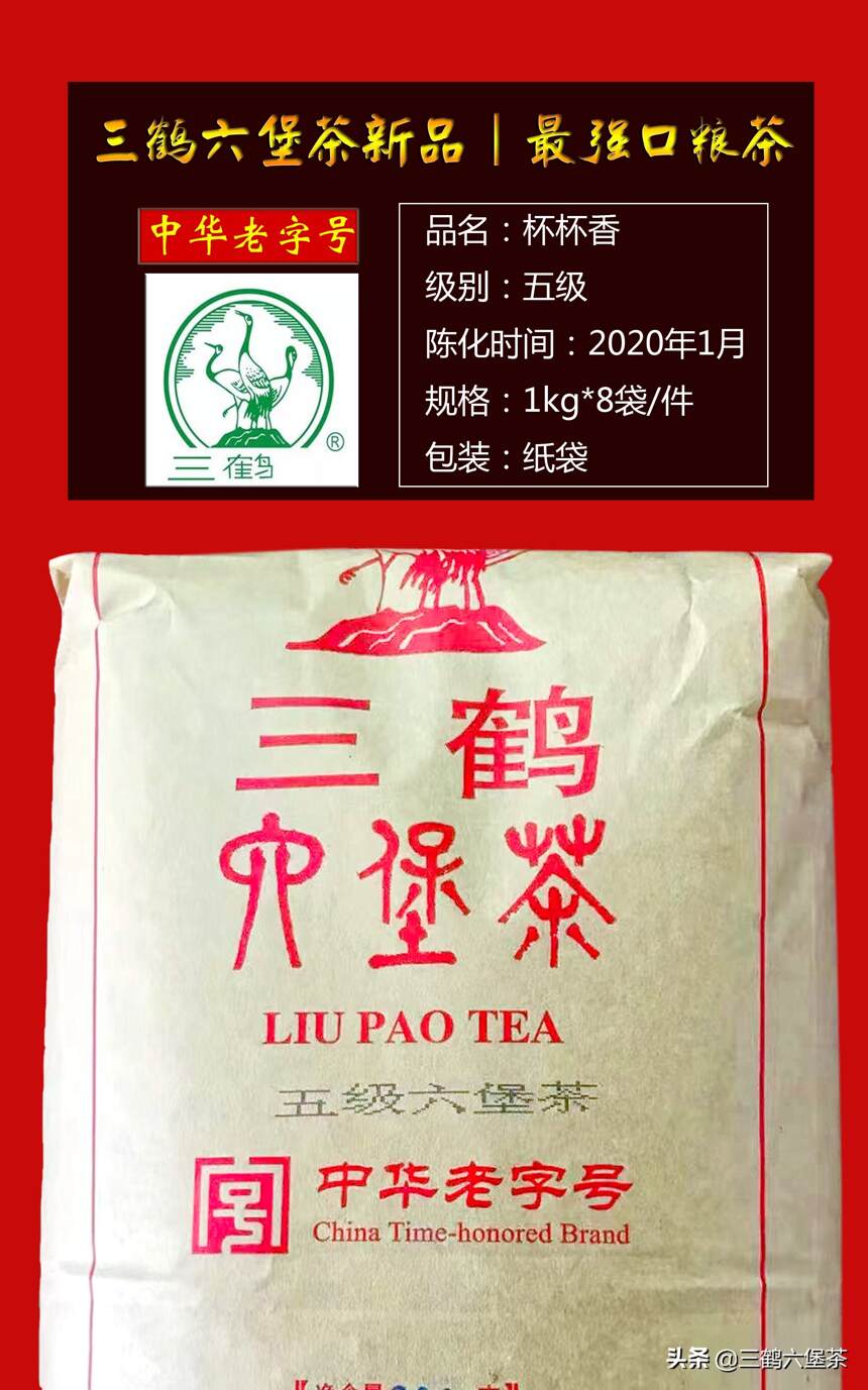 最强口粮茶｜五级六堡茶：杯杯香