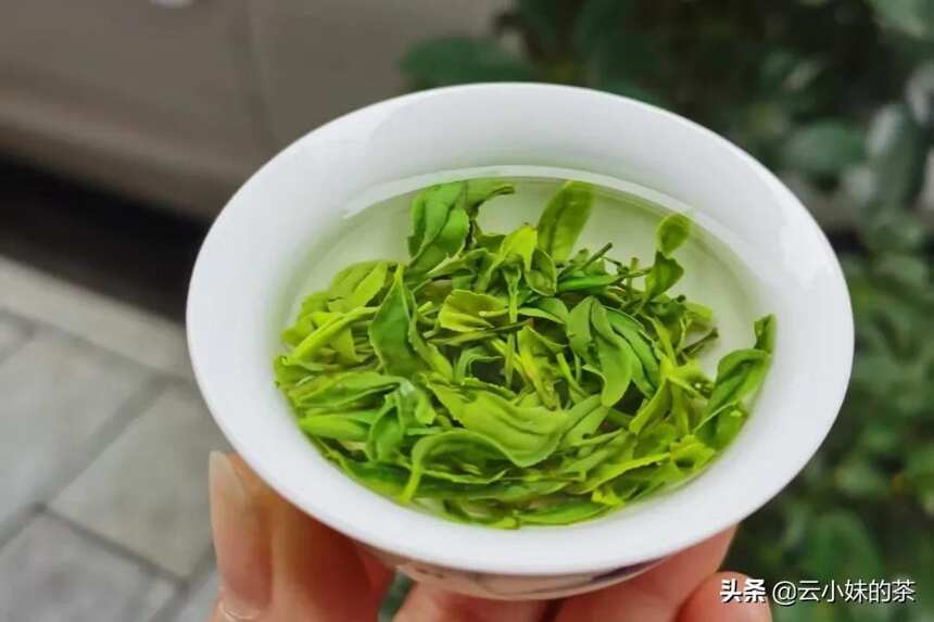 如何选择一款口粮茶？