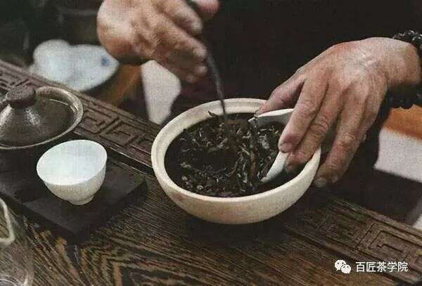 新手如何入门白茶，三个诀窍不可少