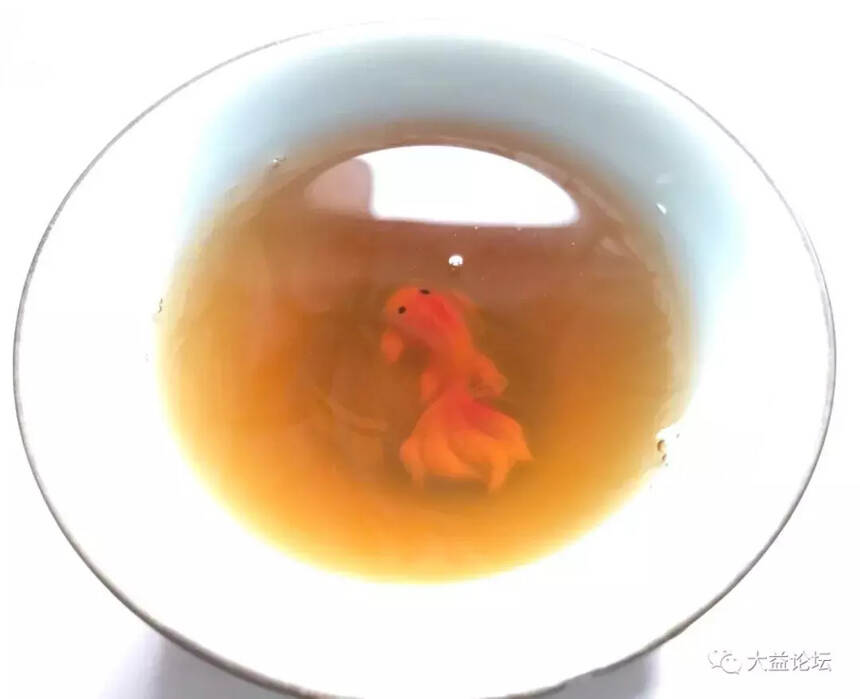 兴海精品茶，302景迈